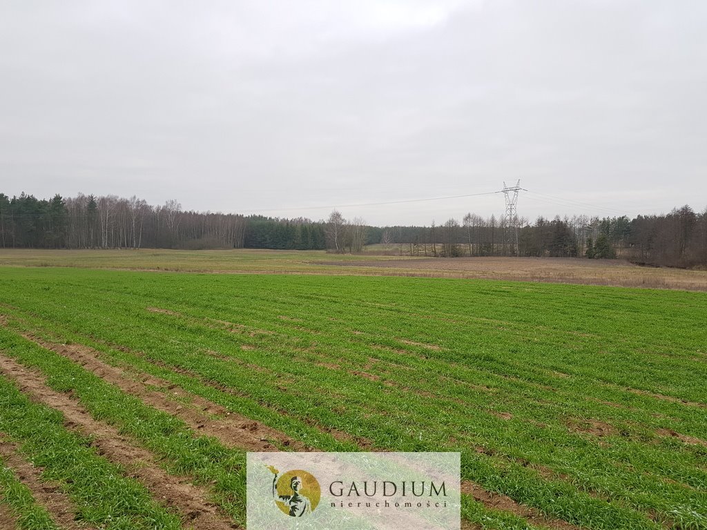 Działka przemysłowo-handlowa na sprzedaż Wędkowy  25 631m2 Foto 2