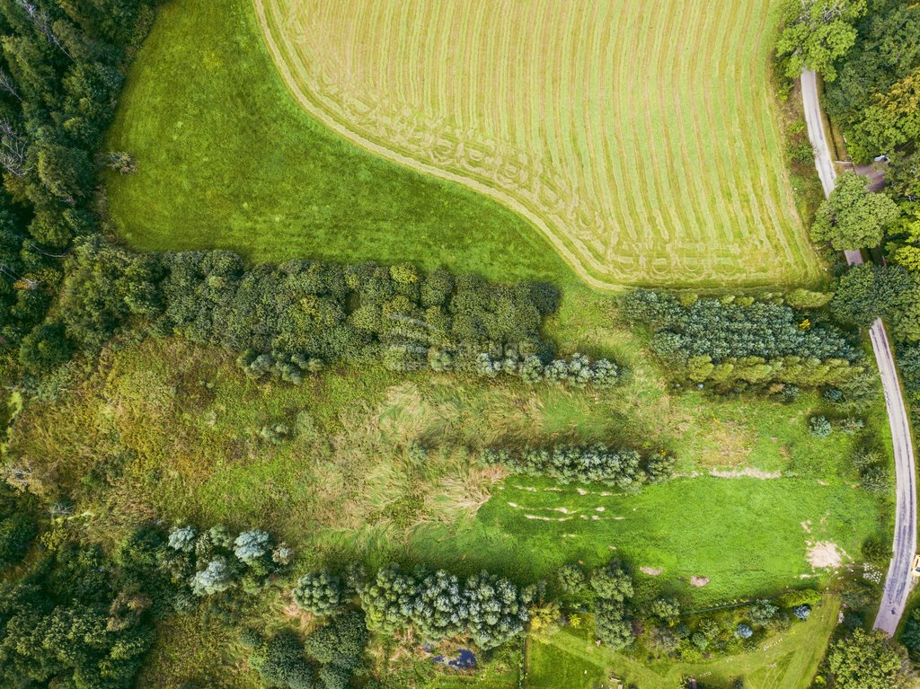 Działka rolna na sprzedaż Golubie  3 687m2 Foto 8