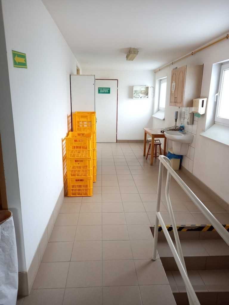 Lokal użytkowy na sprzedaż Kudowa-Zdrój  292m2 Foto 7