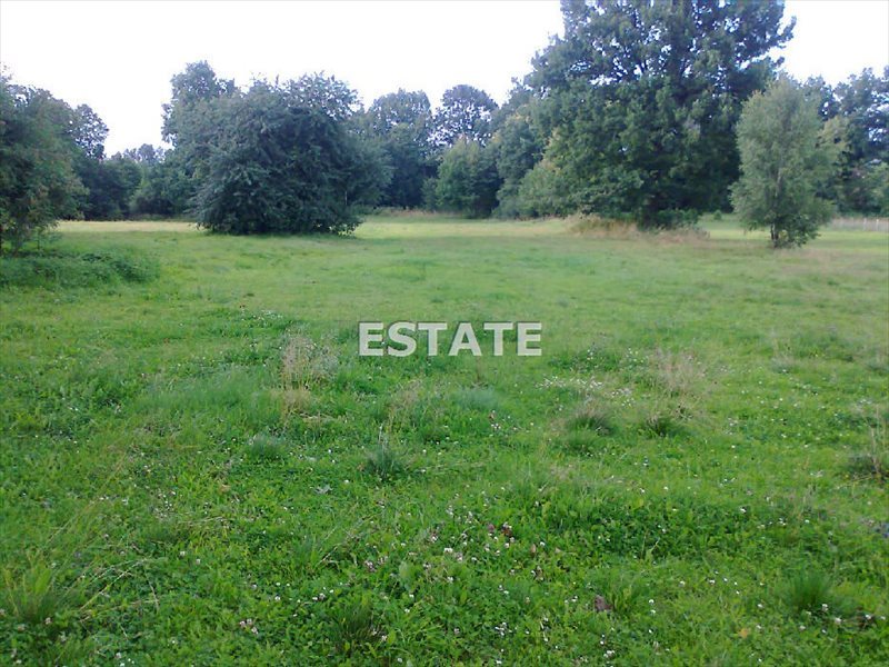 Malownicza działka 2518 m² z dostępem do mediów i blisko lasu Adamów  2 518m2 Foto 1