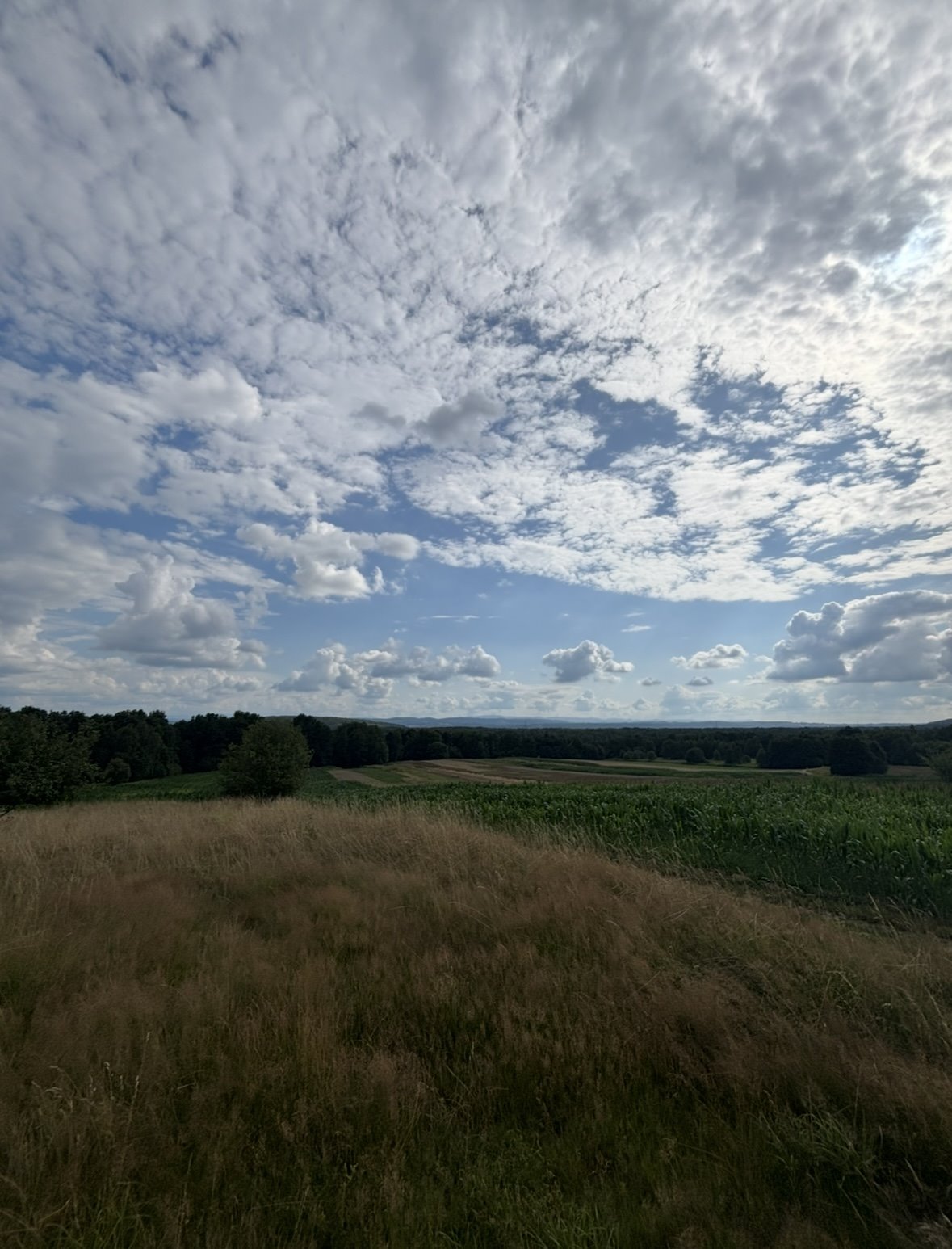 Działka 7 ha pod farmę fotowoltaiczną, blisko Krakowa Czernichów  70 000m2 Foto 1