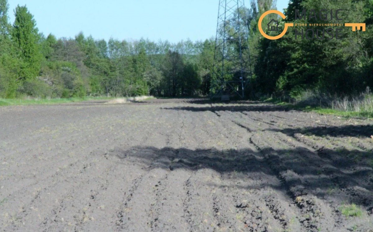 Działka przemysłowo-handlowa na sprzedaż Rumia, Świętopełka  8 016m2 Foto 8