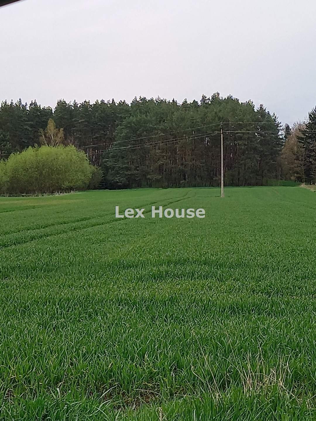 Działka 7 564 m2 przy drodze asfaltowej, media w drodze Rychnów  7 564m2 Foto 1