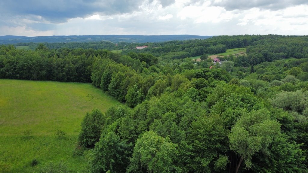 Działka leśna na sprzedaż Hermanowa  1 300m2 Foto 2