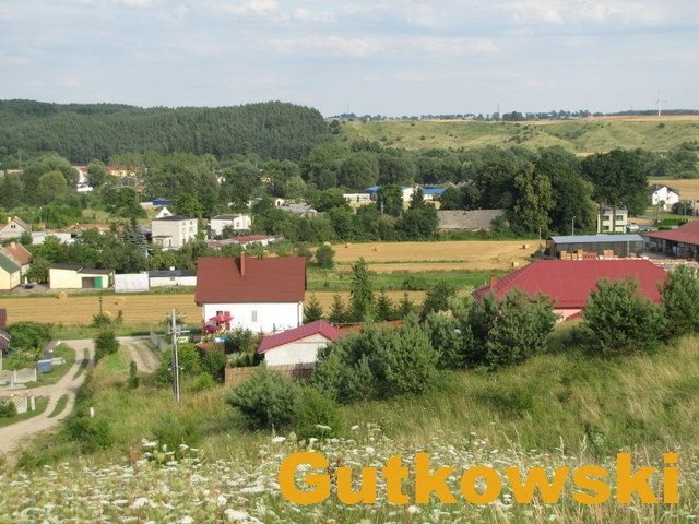 Działka rolna na sprzedaż Łąki Bratiańskie, Gmina Nowe Miasto Lubawskie  3 036m2 Foto 6