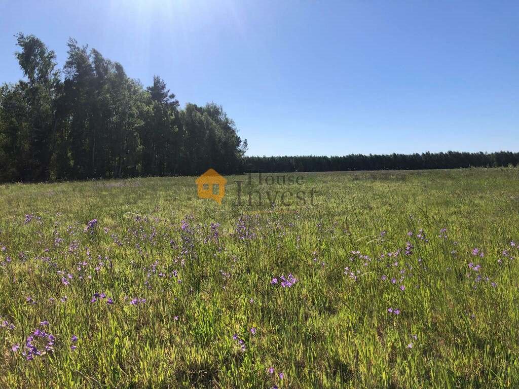 Rozległa działka 18 ha w Borach Dolnośląskich - polecam Chocianów  180 000m2 Foto 1