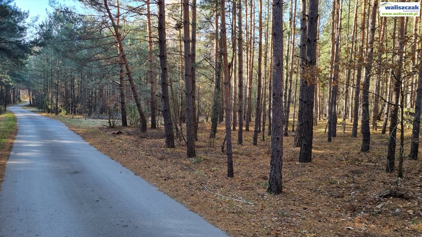 Działka rolna na sprzedaż Ostrów  3 021m2 Foto 3