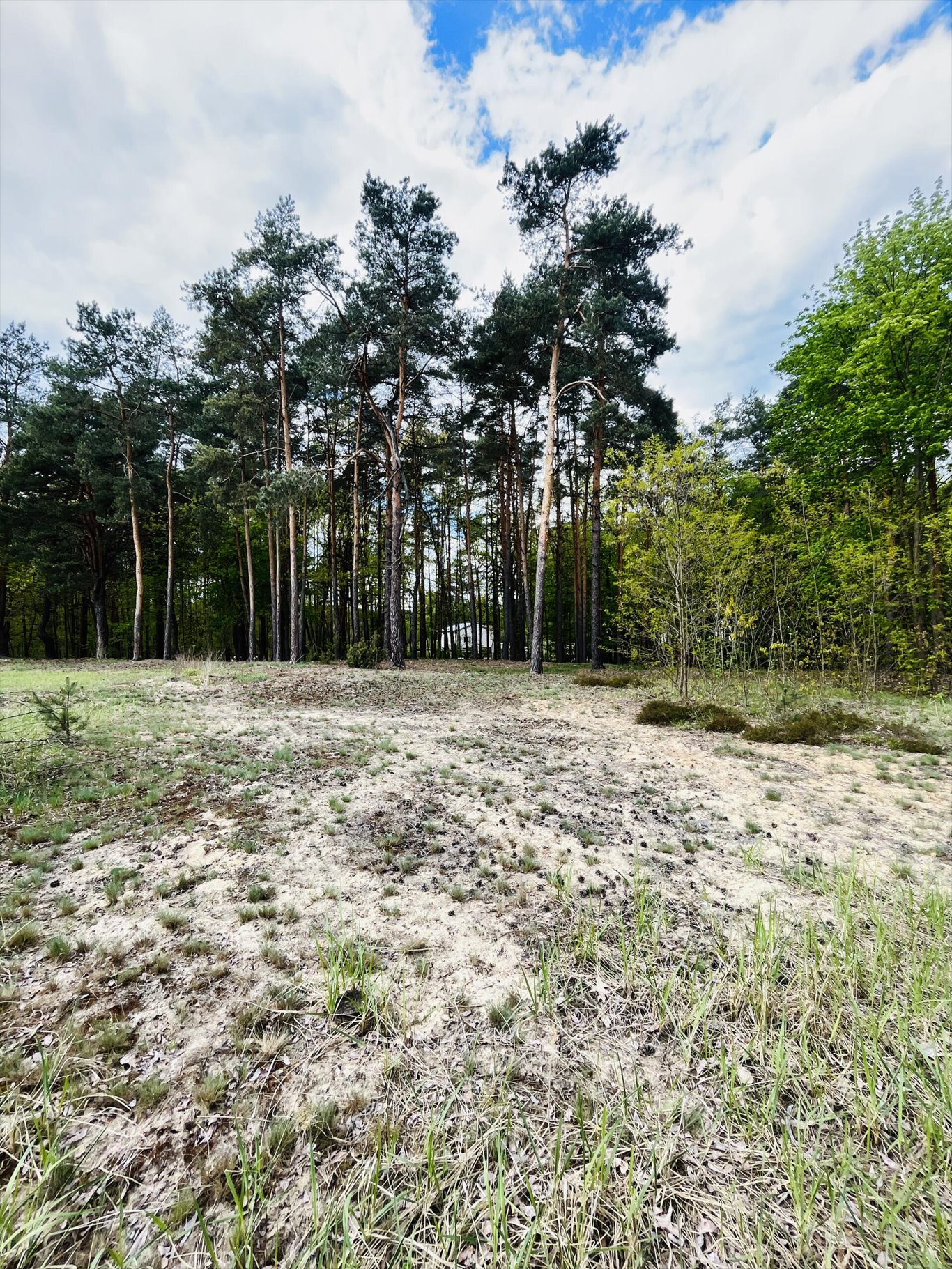 Działka inna na sprzedaż Wołomin, Orzechowa  2 000m2 Foto 13