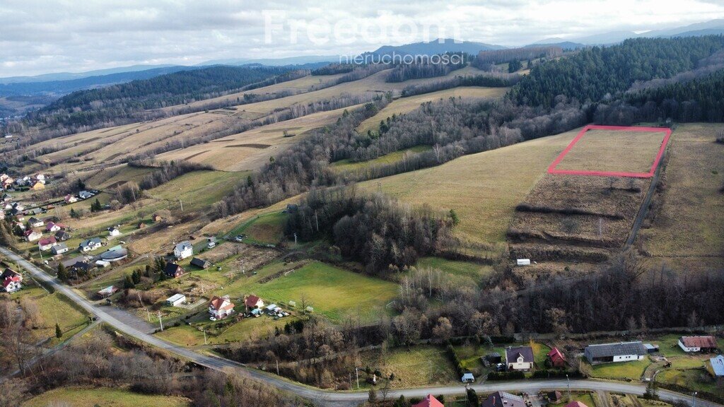 Działka inna na sprzedaż Górzanka  12 233m2 Foto 13