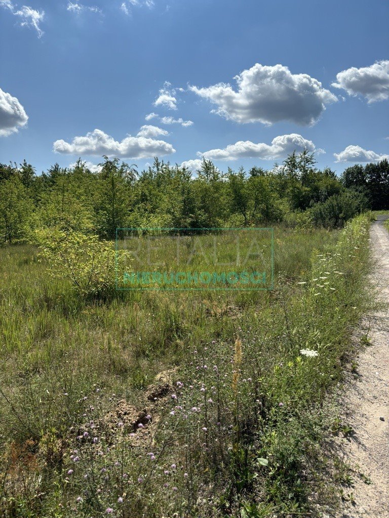 Działka budowlana na sprzedaż Jaktorów-Kolonia  2 121m2 Foto 6