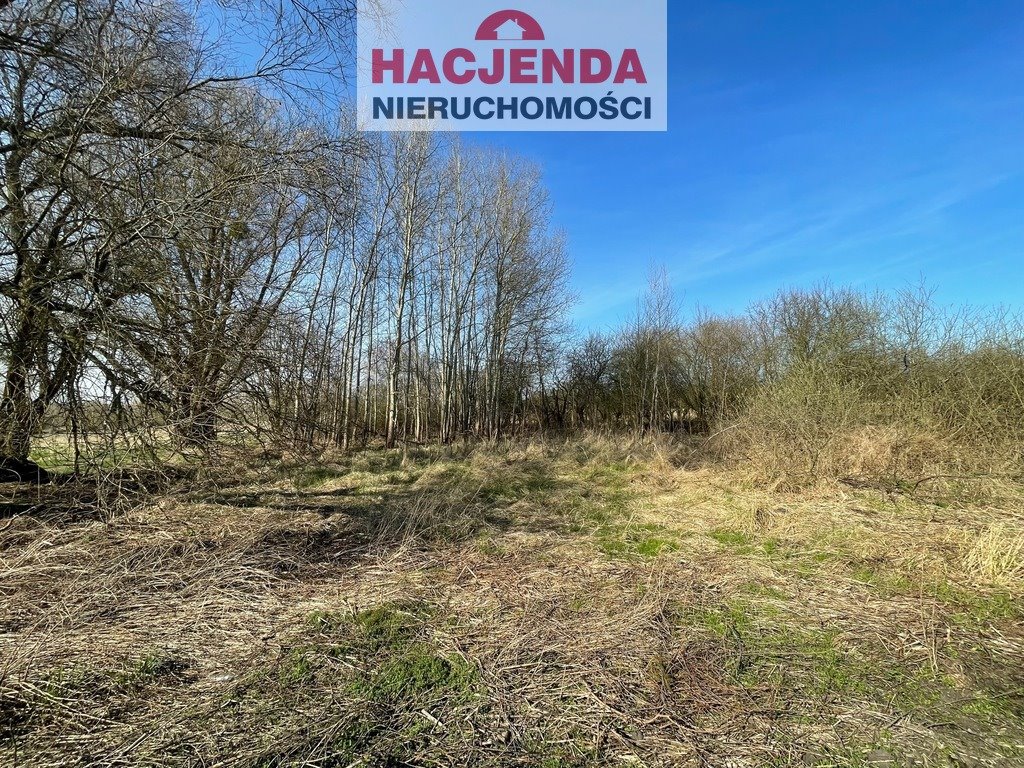 Działka 4800 m² z lasem, pod zabudowę jednorodzinną Trzebież  4 800m2 Foto 1
