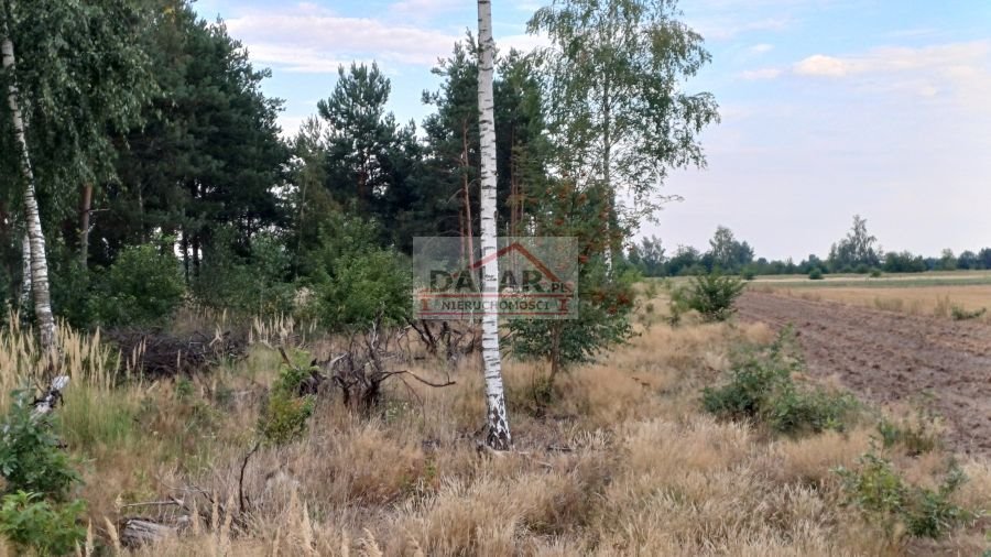 Działka budowlana na sprzedaż Grabów nad Pilicą, Małęczyn  1 400m2 Foto 3