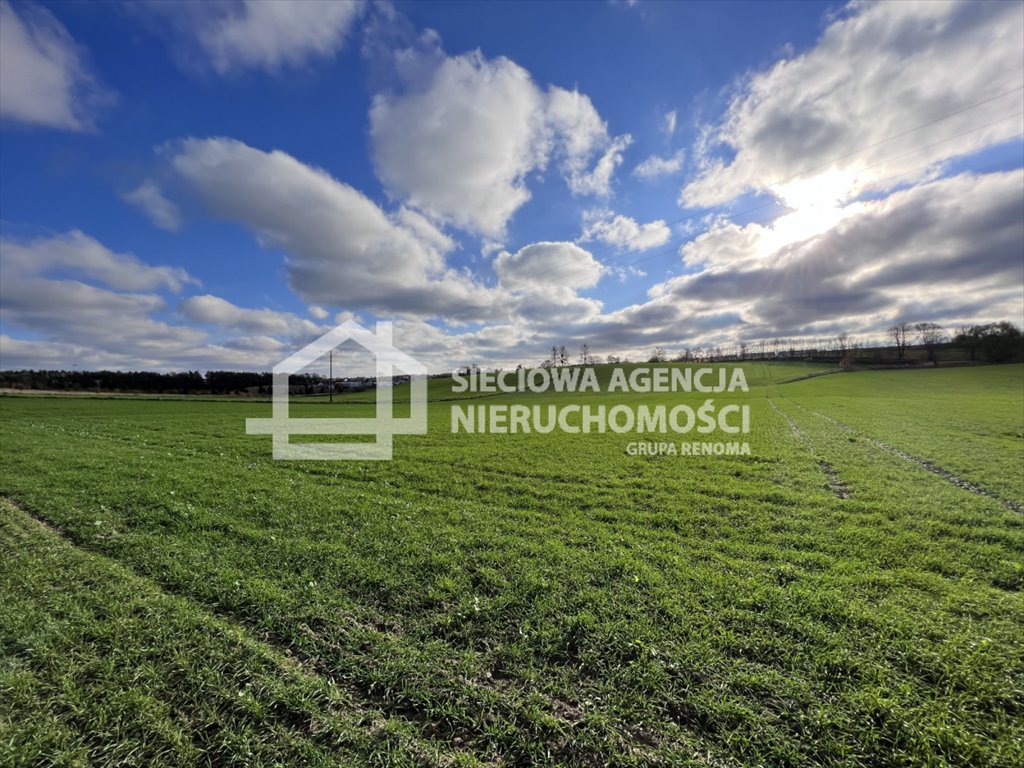 Działka budowlana na sprzedaż Dębogórze  1 000m2 Foto 6