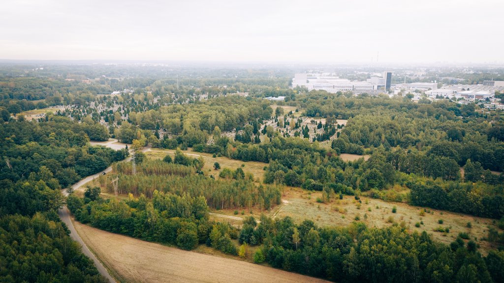 Dom na sprzedaż Łódź, Bałuty, Kąkolowa  130m2 Foto 20