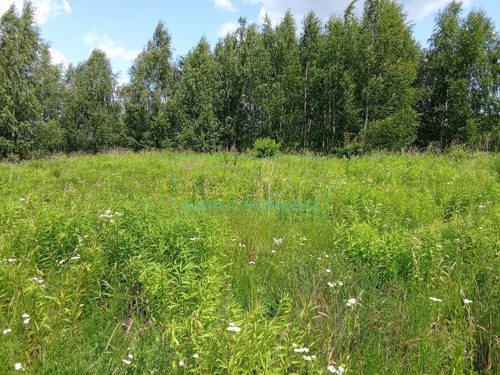 Działka 3005 m² z możliwością zabudowy w Żabiej Woli Oddział  3 005m2 Foto 1