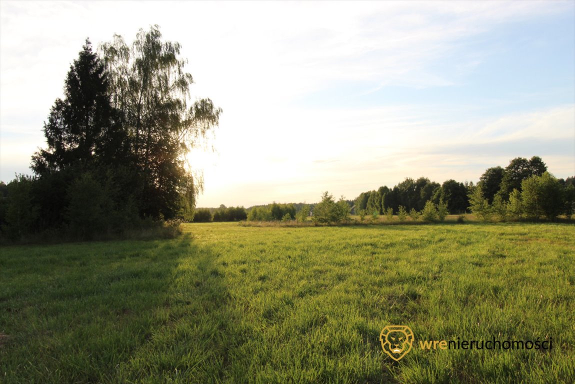 Działka przemysłowo-handlowa na sprzedaż Śliwice, Zdrojowa  47 740m2 Foto 4