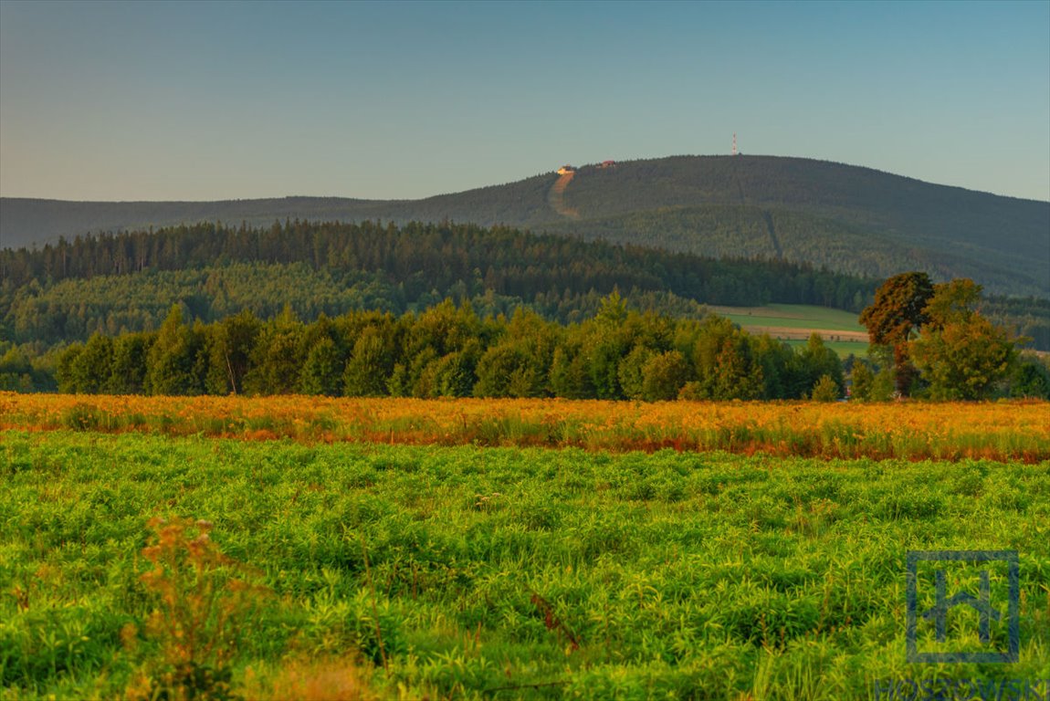 Działka budowlana na sprzedaż Świeradów-Zdrój, Jarzębinowa  1 500m2 Foto 9