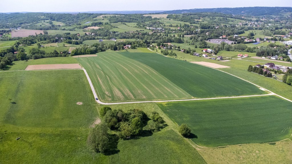 Działka budowlana na sprzedaż Nowy Borek  10 155m2 Foto 11