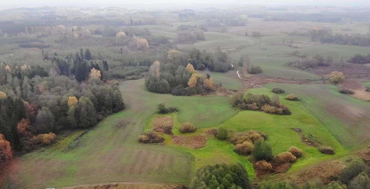 Działka rolna na sprzedaż Świętajno  3 010m2 Foto 12