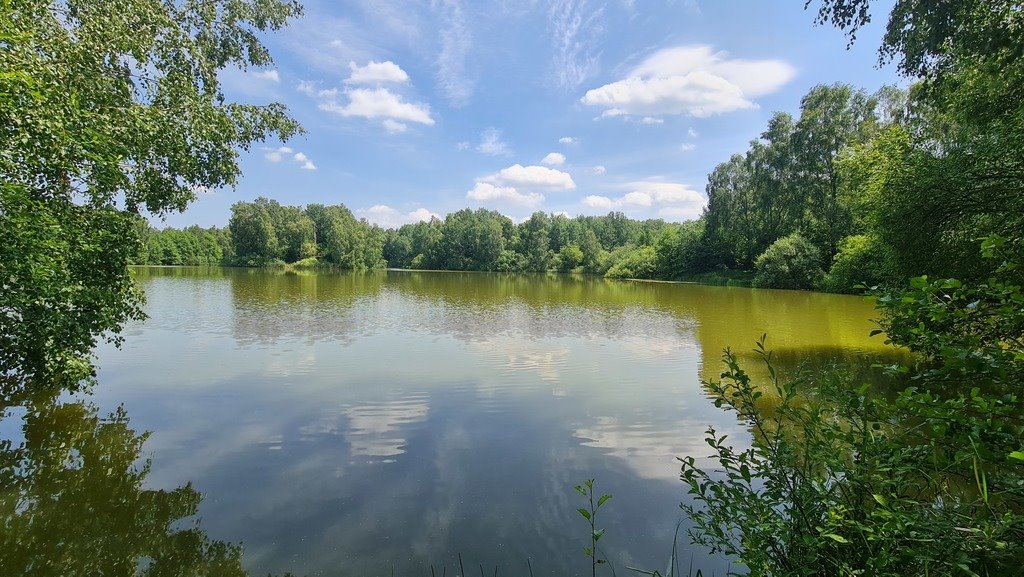 Działka budowlana na sprzedaż Łagiewniki Nowe, Okólna  2 486m2 Foto 4