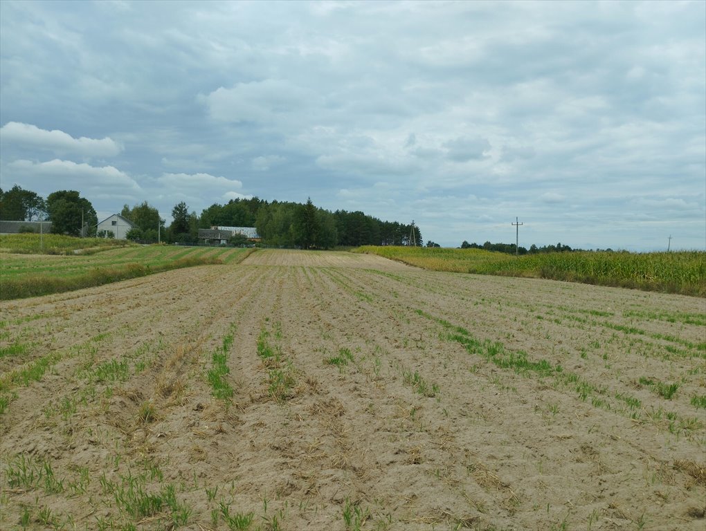 Działka budowlana na sprzedaż Ochenki  3 000m2 Foto 4