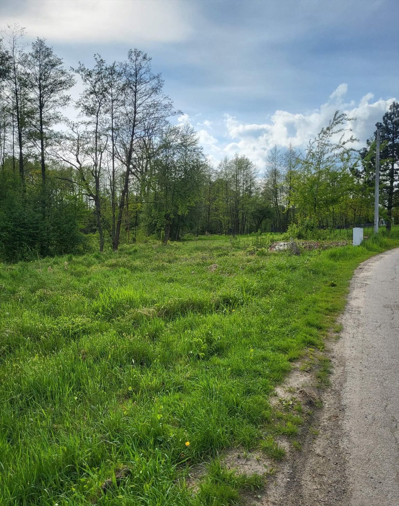 Działka budowlana na sprzedaż Dąbrowa Szlachecka  1 200m2 Foto 1