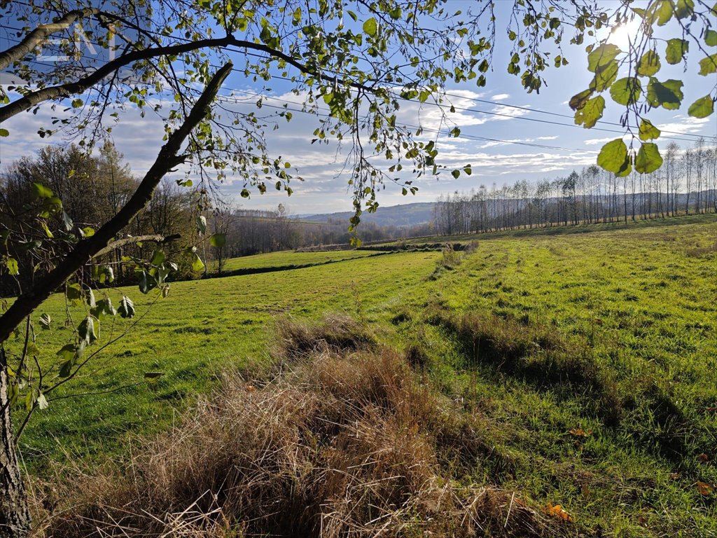 Działka budowlana na sprzedaż Konieczkowa  4 600m2 Foto 10