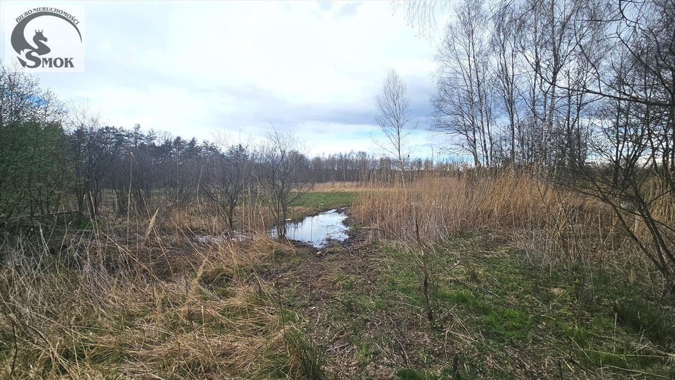 Działka rolna na sprzedaż Przeginia Narodowa  180 000m2 Foto 6