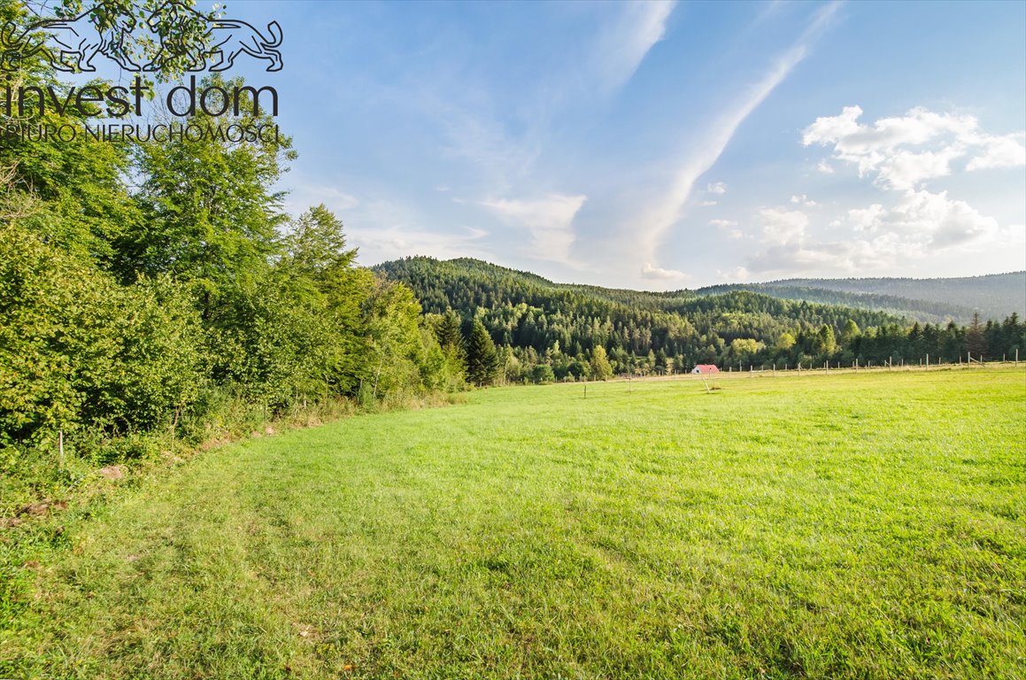 Działka budowlana na sprzedaż Florynka  1 244m2 Foto 4