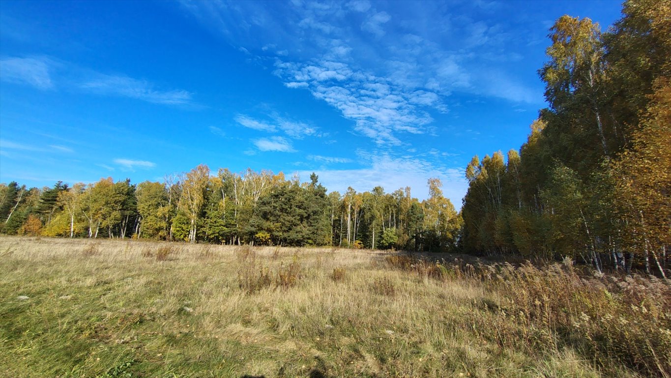 Działka budowlana na sprzedaż Brzozowica, Brzozowica  830m2 Foto 2