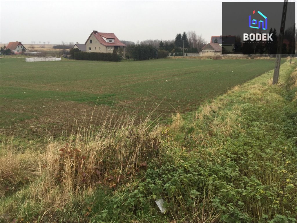 Działka budowlana na sprzedaż Piotrowice, Piotrowice, Główna  5 100m2 Foto 3