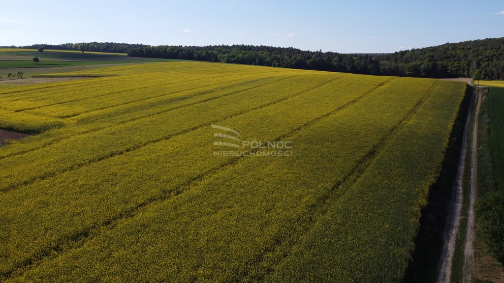 Działka budowlana na sprzedaż Niemienice  3 000m2 Foto 5