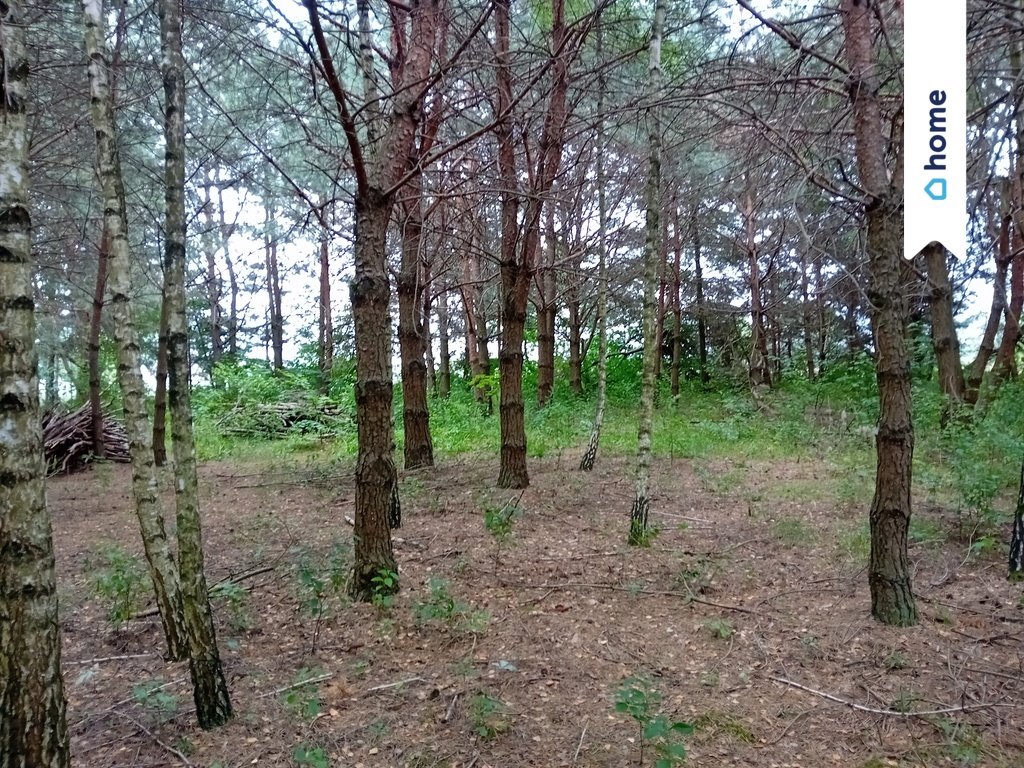 Działka budowlana na sprzedaż Mężenin  3 979m2 Foto 2