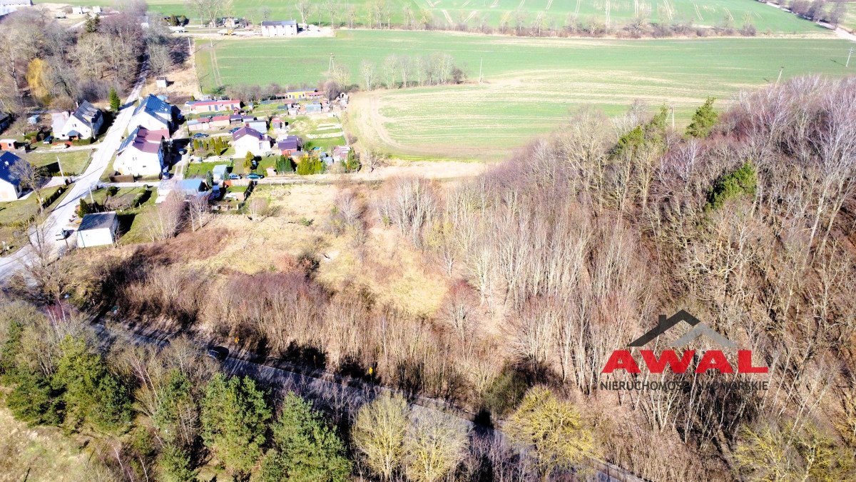 Działka gospodarstwo rolne na sprzedaż Sulicice  3 000m2 Foto 10