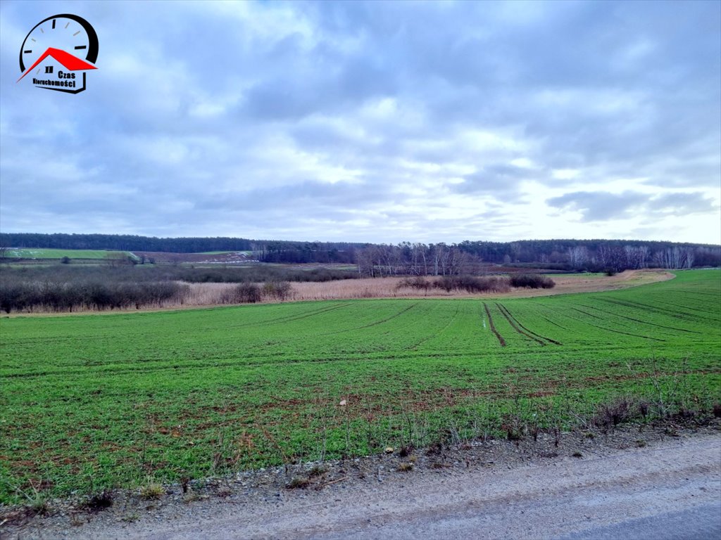 Działka budowlana na sprzedaż Komratowo  1 000m2 Foto 6