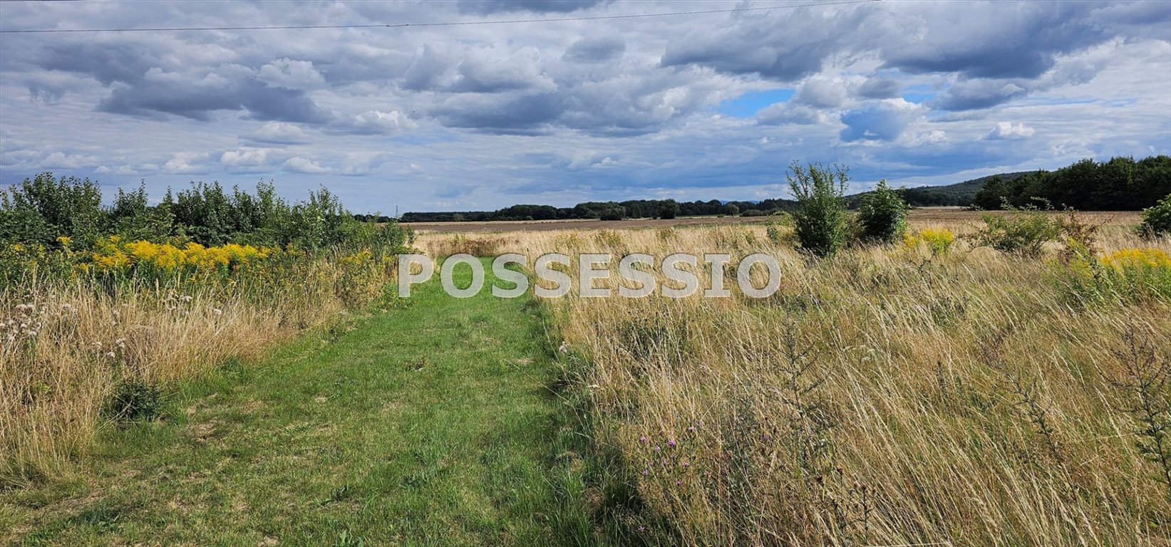 Działka pod zabudowę mieszkaniową i usługową, 1577 m² Dobromierz  1 577m2 Foto 1