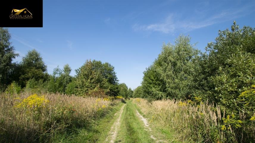 Działka rolna na sprzedaż Tąpadła  90 547m2 Foto 3