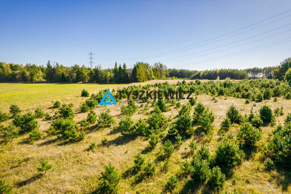 Działka rolna na sprzedaż Skorzewo  52 678m2 Foto 1