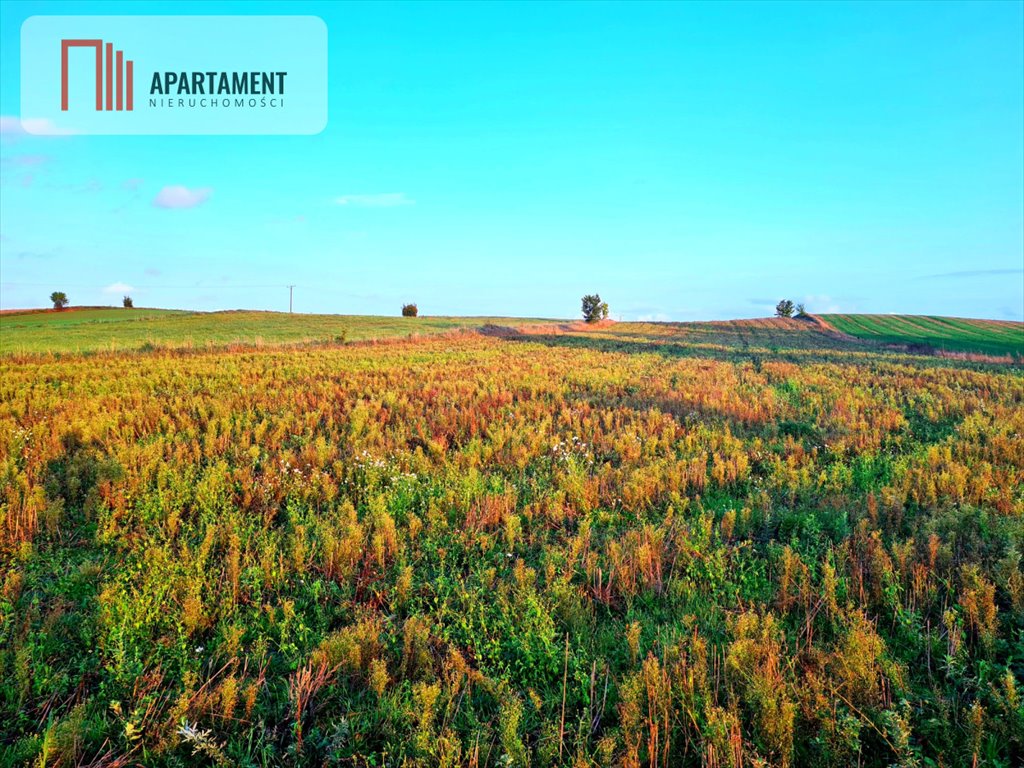 Działki w Skorzewie przy głównej drodze – atrakcyjna cena! Skorzewo  1 002m2 Foto 1