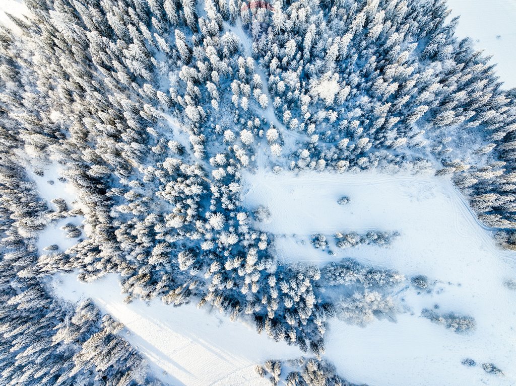 Działka rolna na sprzedaż Bukowina Tatrzańska  7 839m2 Foto 15