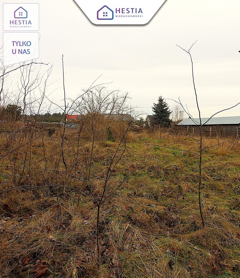 Duża działka 3100 m2 z budynkiem inwentarskim w Żarowie Żarowo  3 100m2 Foto 1