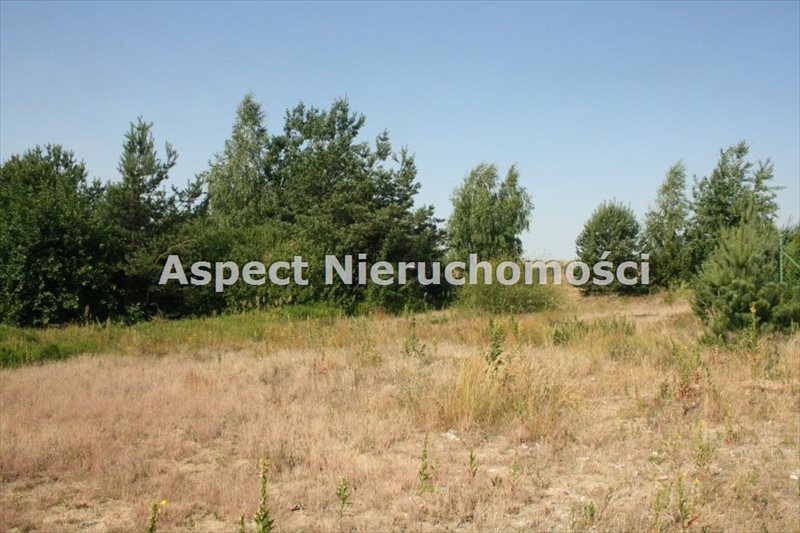 Działka budowlana na sprzedaż Władysławów 1 900m2 Foto 1 Działka budowlana na sprzedaż Władysławów 1 900m2 Foto 1