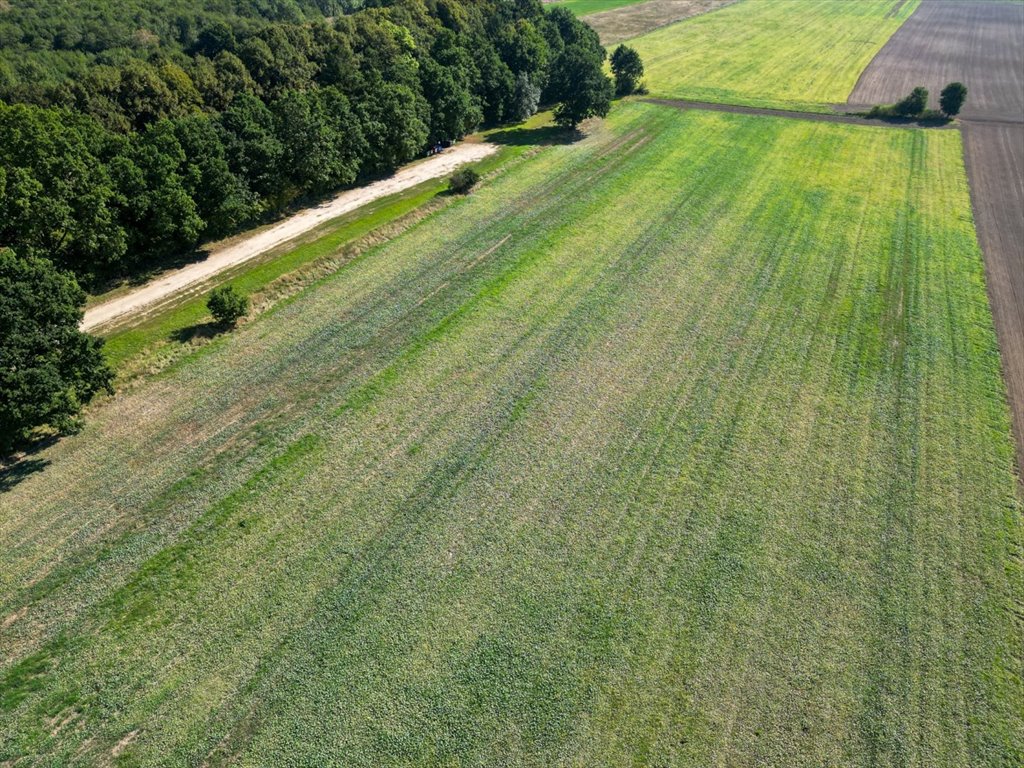 Działka budowlana na sprzedaż Łącko  20 900m2 Foto 3