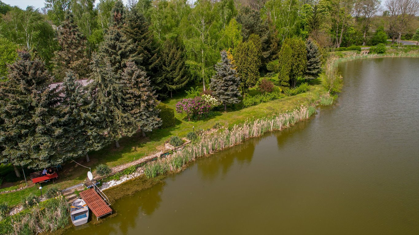 Działka rekreacyjna na sprzedaż powiat kutnowski  17 700m2 Foto 4