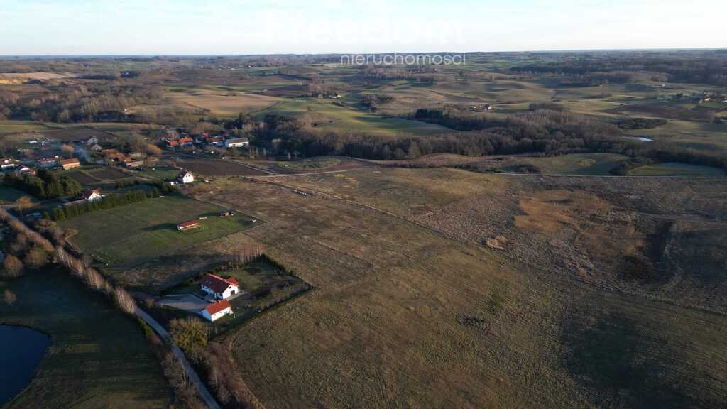 Działka budowlana na sprzedaż Skolity  3 538m2 Foto 7