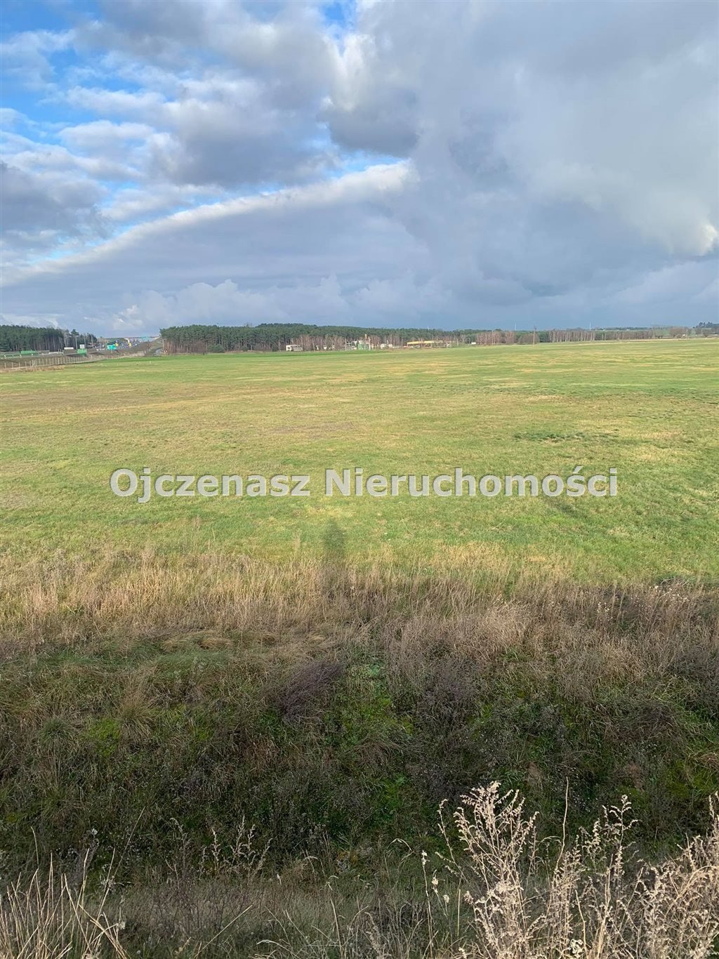 Działka inna na sprzedaż Smolniki  12 847m2 Foto 4