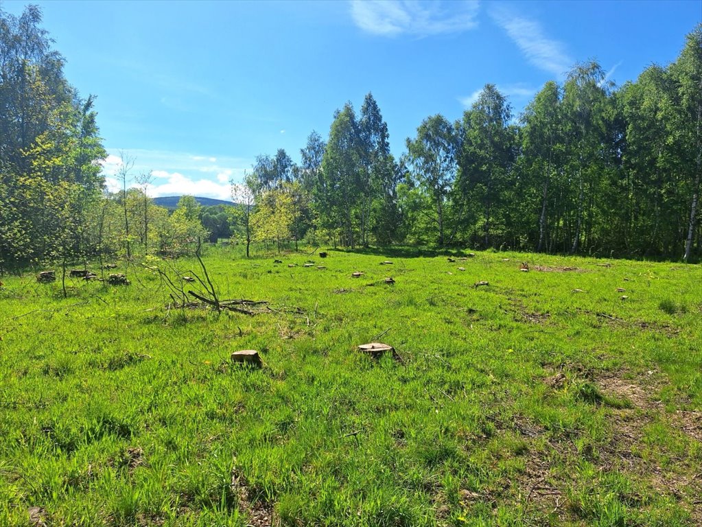 Działka budowlana 124 m² w Małej Kamienicy - zapraszam Mała Kamienica  1 124m2 Foto 1