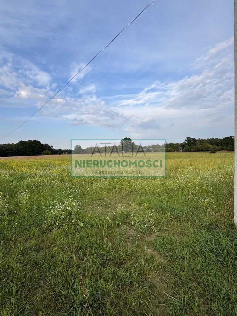 Działka 3000 m2 z planem pod zabudowę jednorodzinną Wężyk  3 000m2 Foto 1