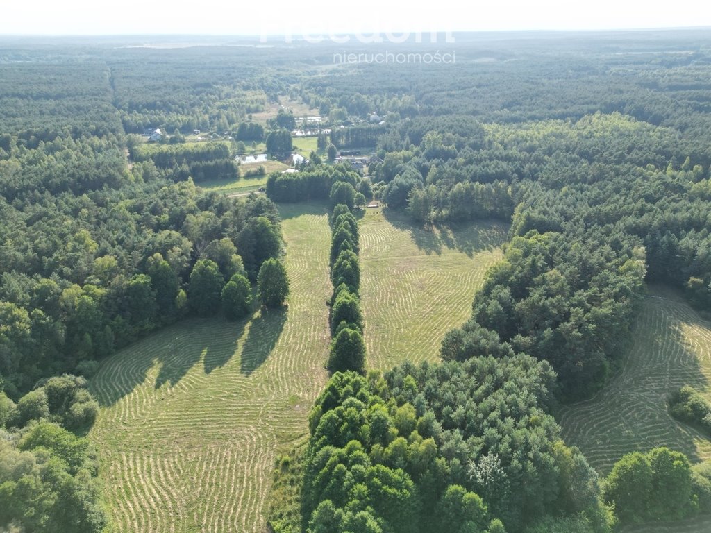 Działka rolna na sprzedaż Cisza  22 433m2 Foto 1