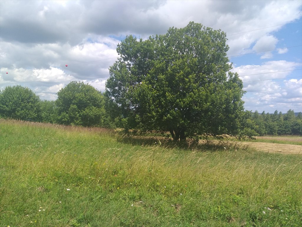 Działka rolna na sprzedaż Makowiska  9 700m2 Foto 14